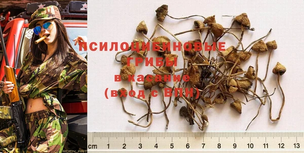 гидра Пересвет