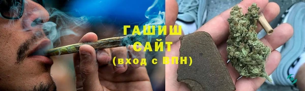 гидра Пересвет