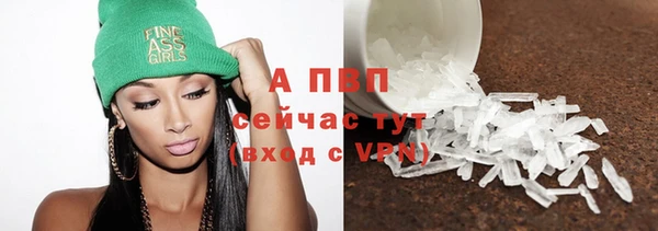 гидра Пересвет
