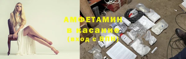 гидра Пересвет