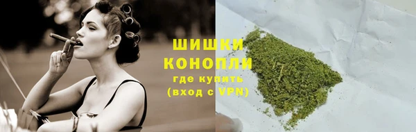 гидра Пересвет