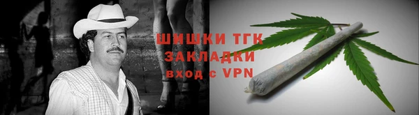 гидра Пересвет