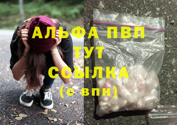 spice Пестово