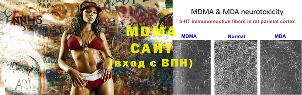 гидра Пересвет