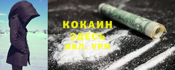 spice Пестово