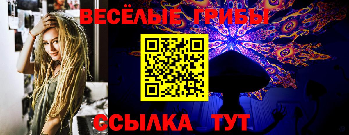 Галлюциногенные грибы прущие грибы  Псилоцибиновые грибы Cubensis  Североуральск  Вход с VPN 